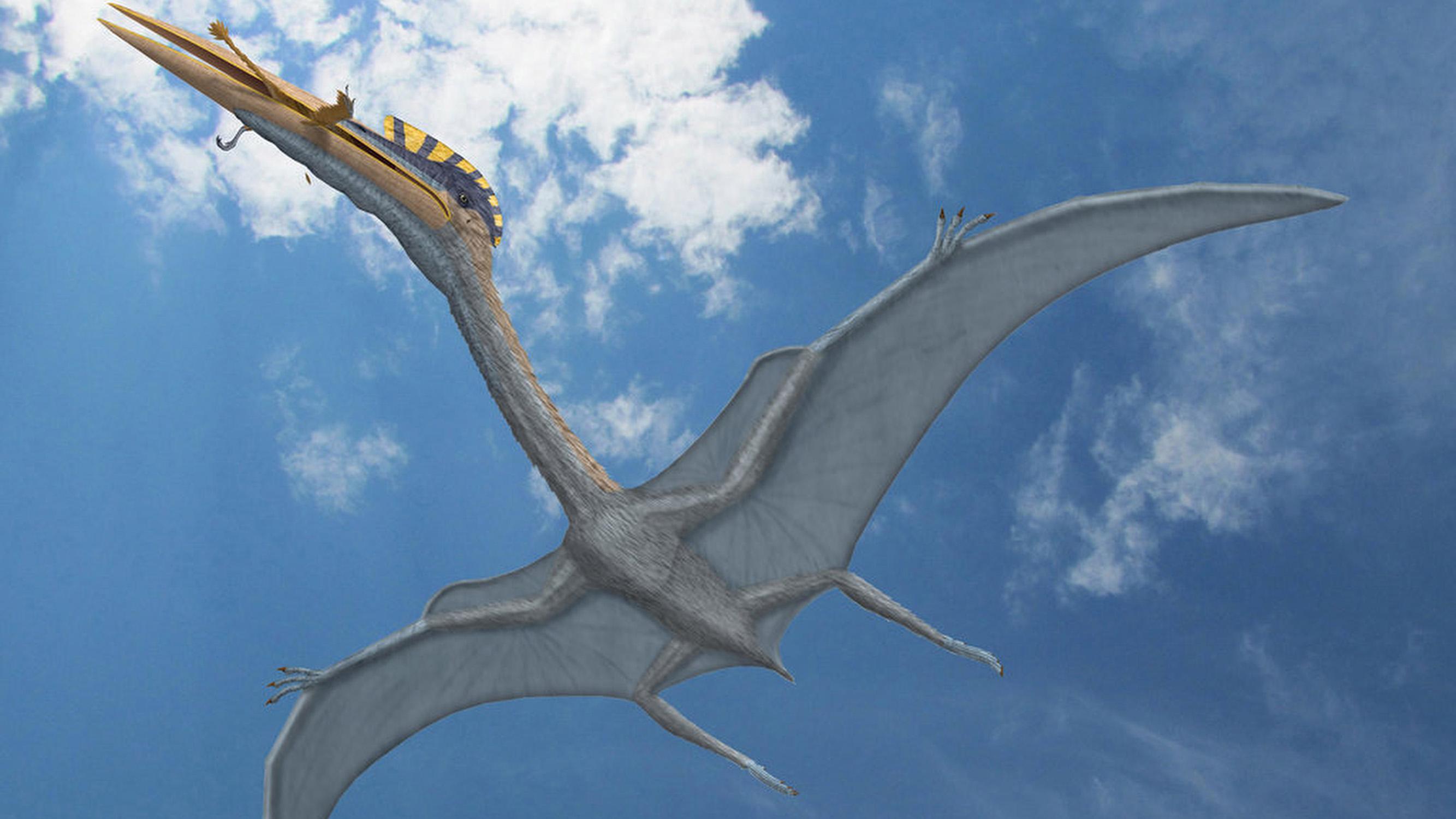 IELTS Academic Reading Practice #1: How Pterosaurs- a prehistoric predator took to the skies